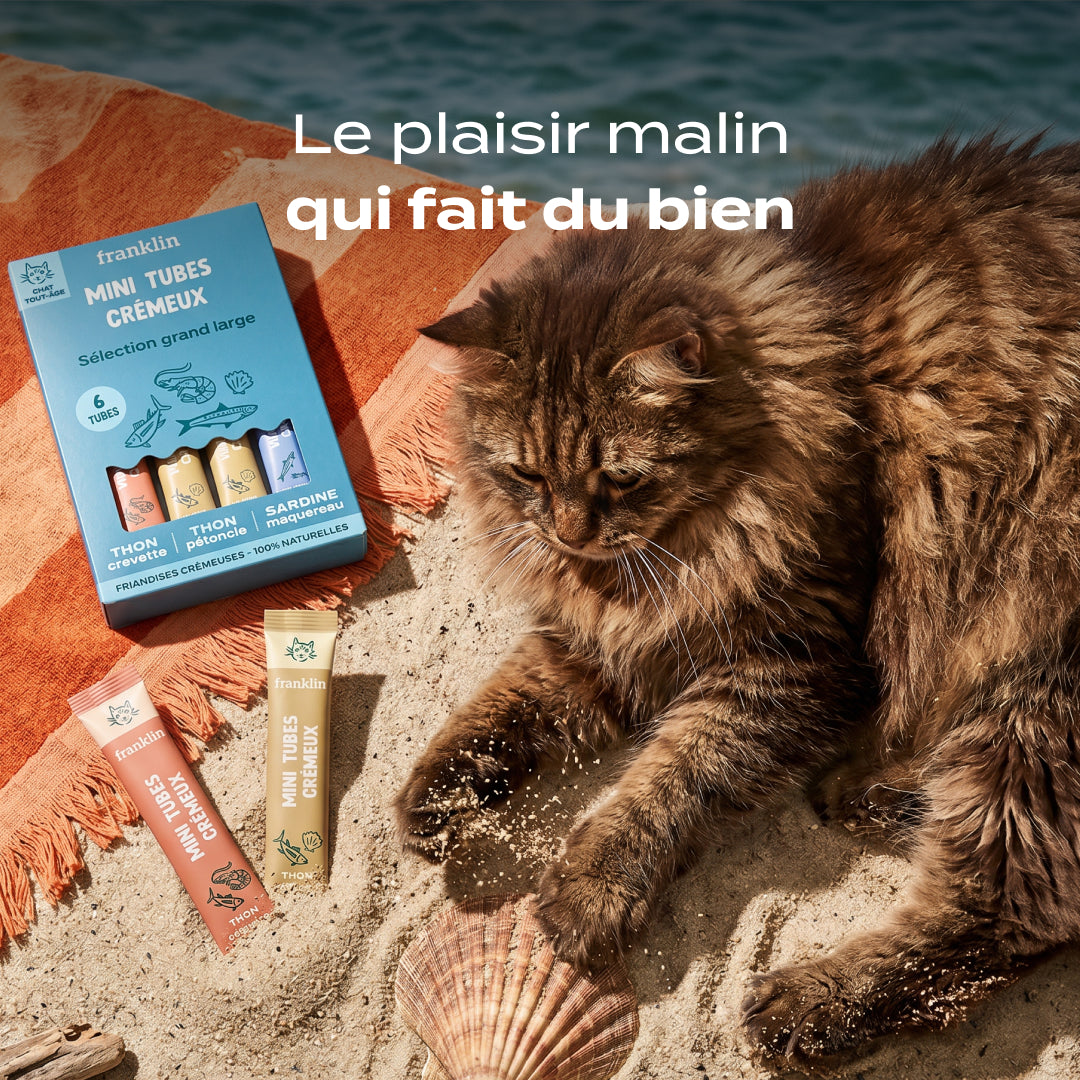 MULTIPACK MINI TUBES POISSON