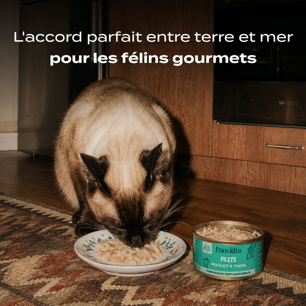 poulet-amp-thon