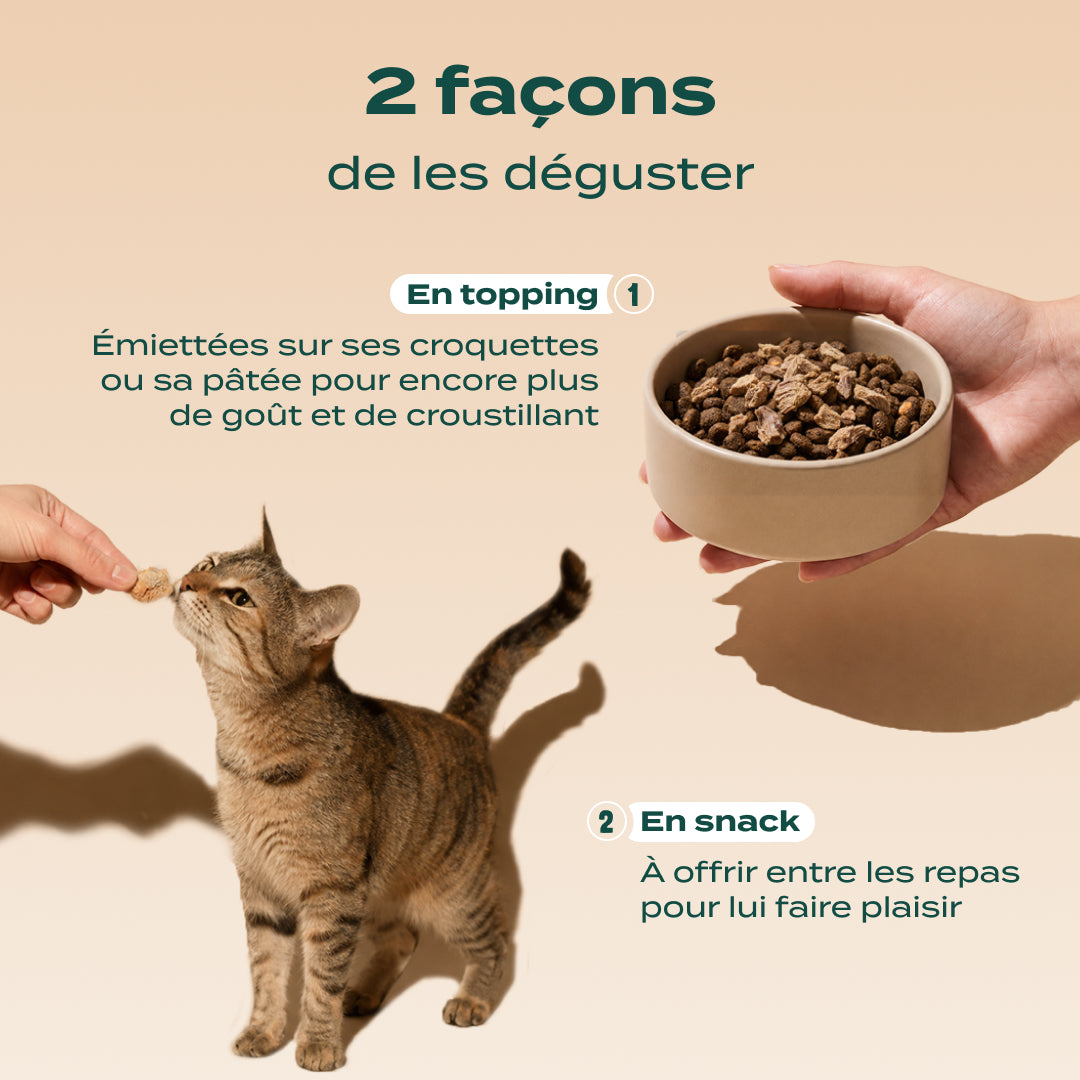 SNACK GÉSIER DE POULET