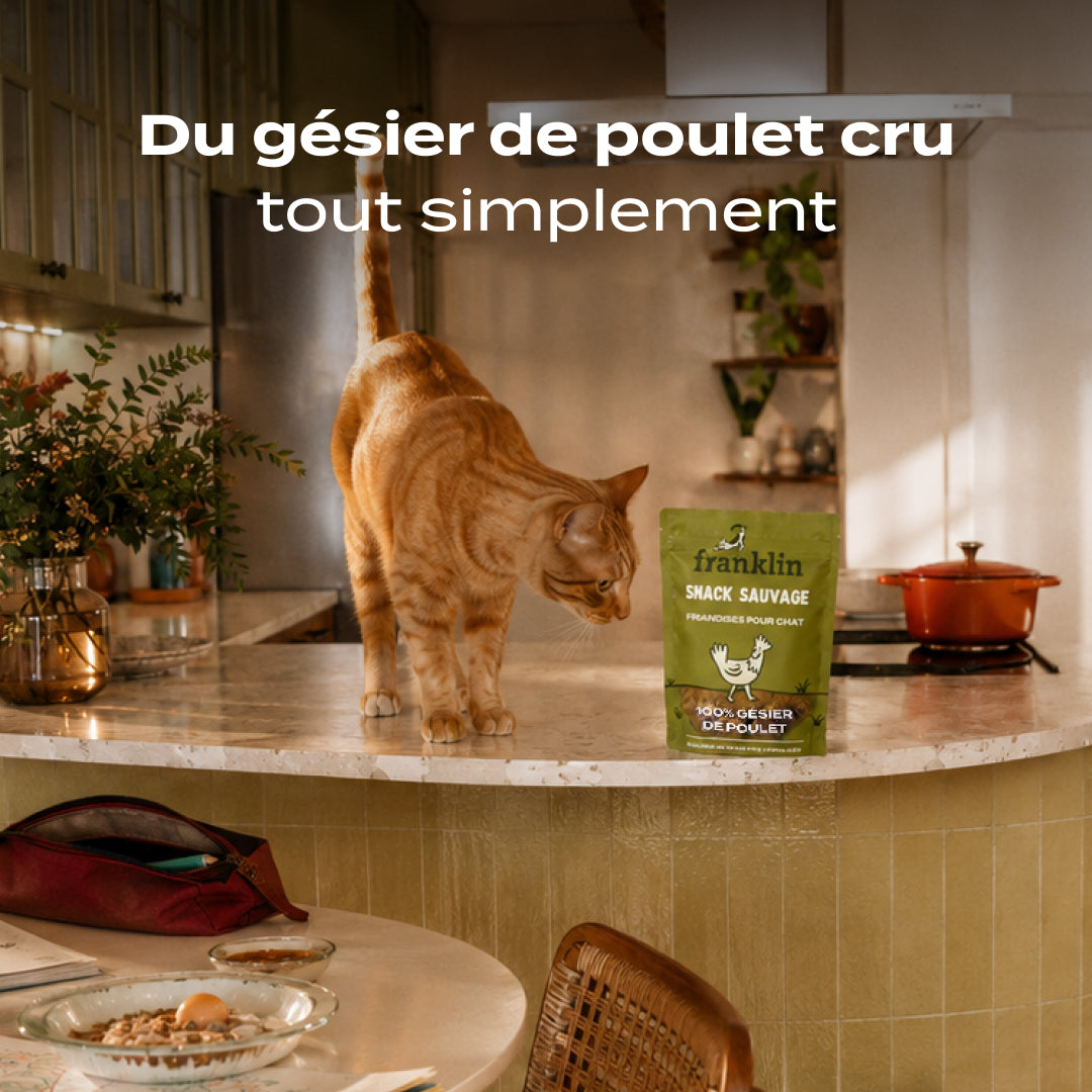 SNACK GÉSIER DE POULET