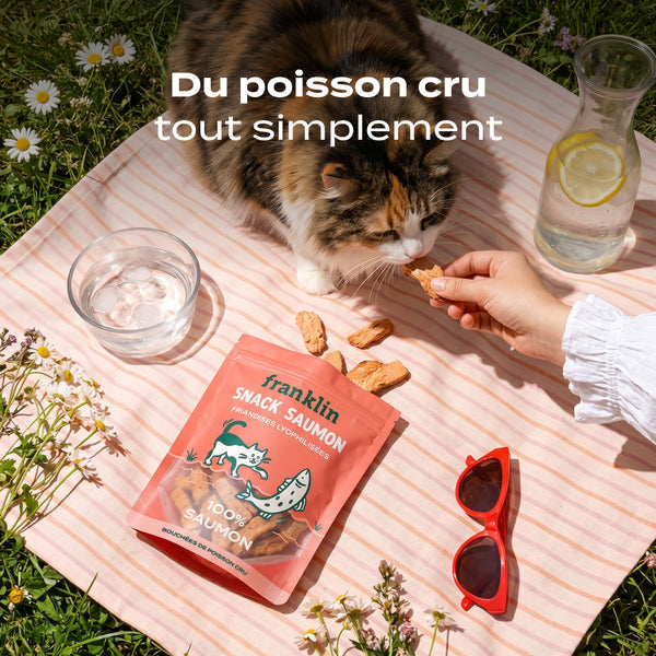 snack-saumon