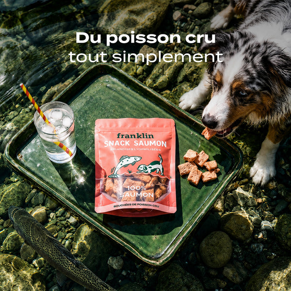 snack-saumon