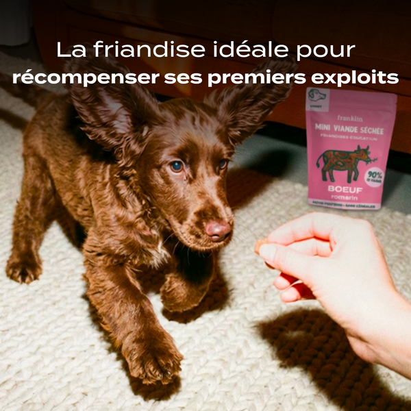 mini-viande-sechee-boeuf