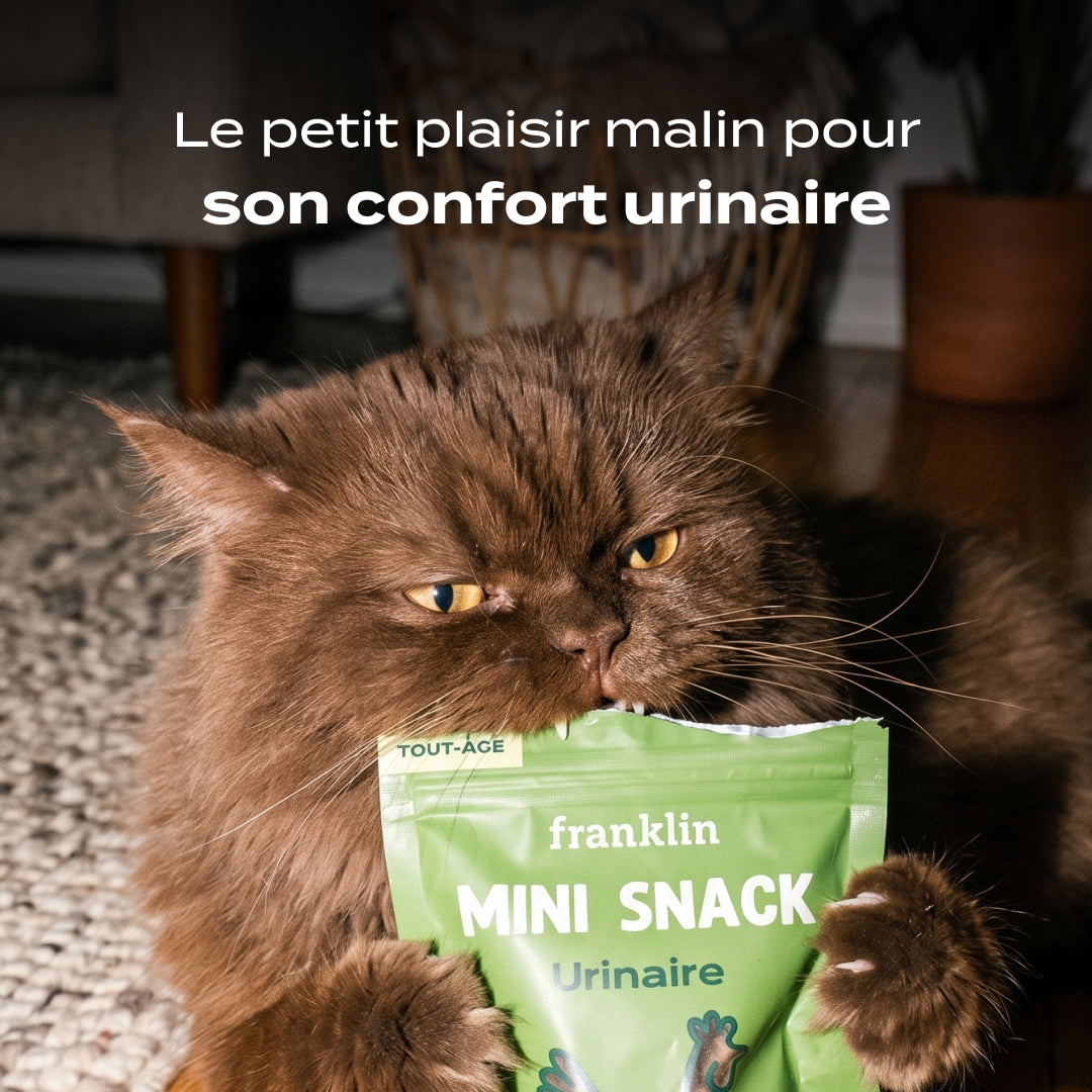 MINI SNACK URINAIRE