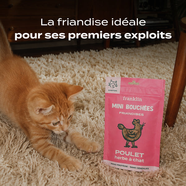 mini-bouchees-poulet