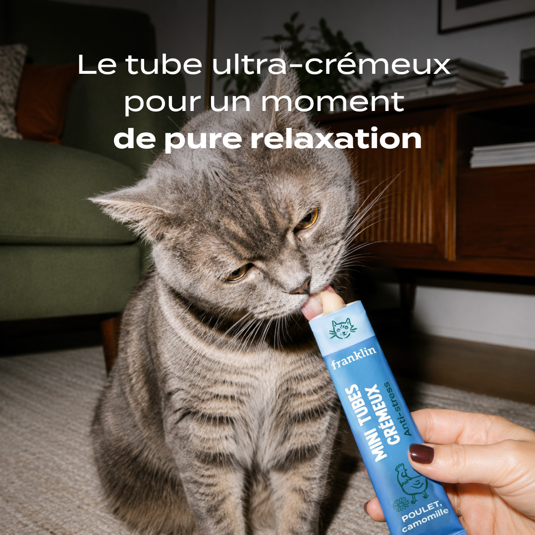 MINI TUBES POULET, CAMOMILLE