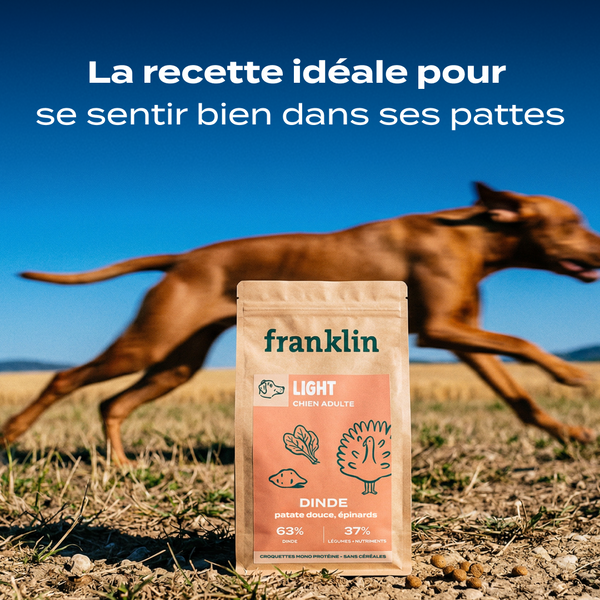 dinde-patate-douce-epinards