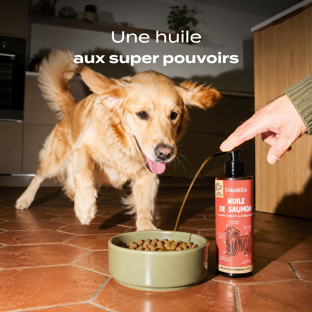 HUILE DE SAUMON
