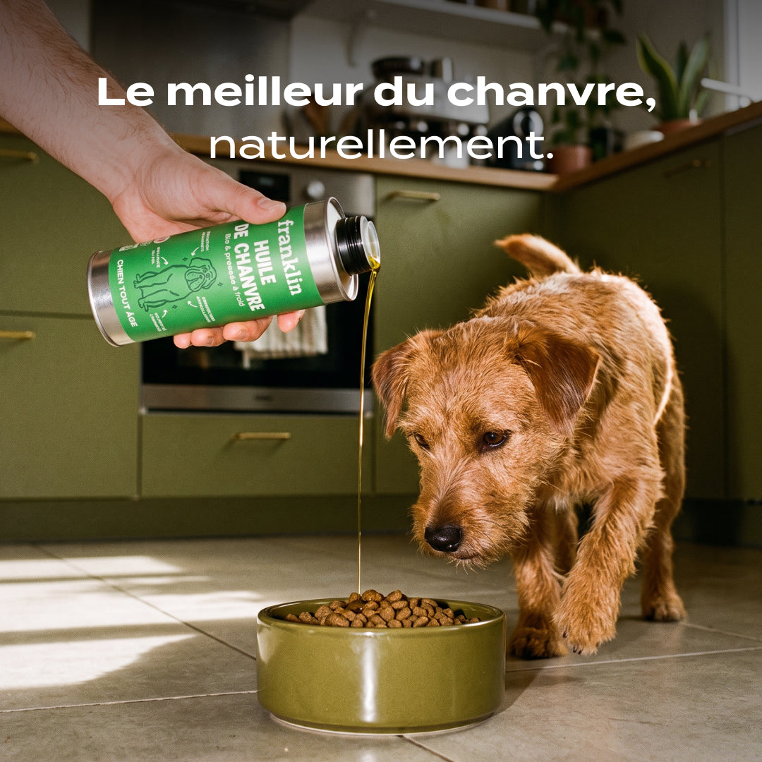 HUILE DE CHANVRE BIO