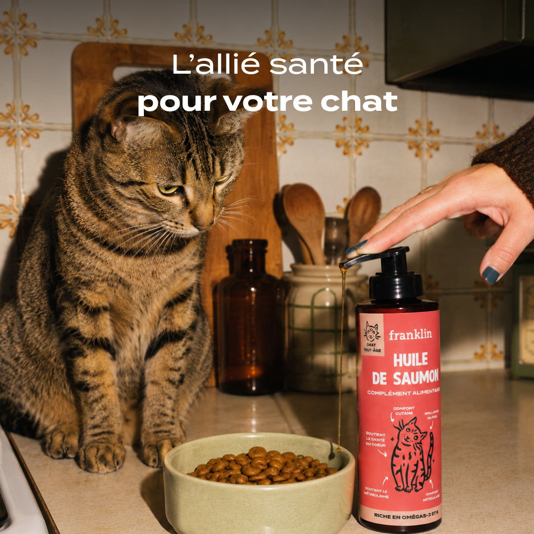 HUILE DE SAUMON
