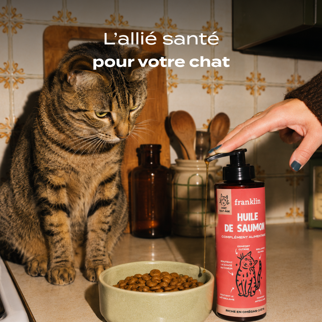 HUILE DE SAUMON