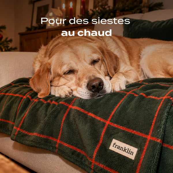 plaid-a-carreaux