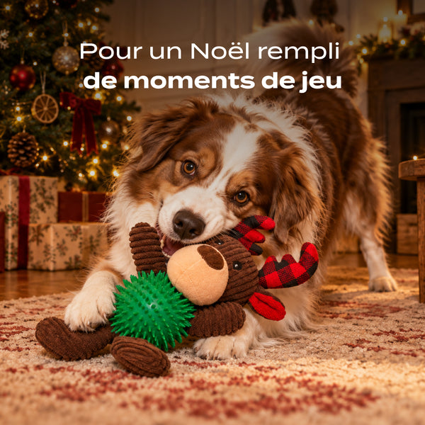 renne-de-noel
