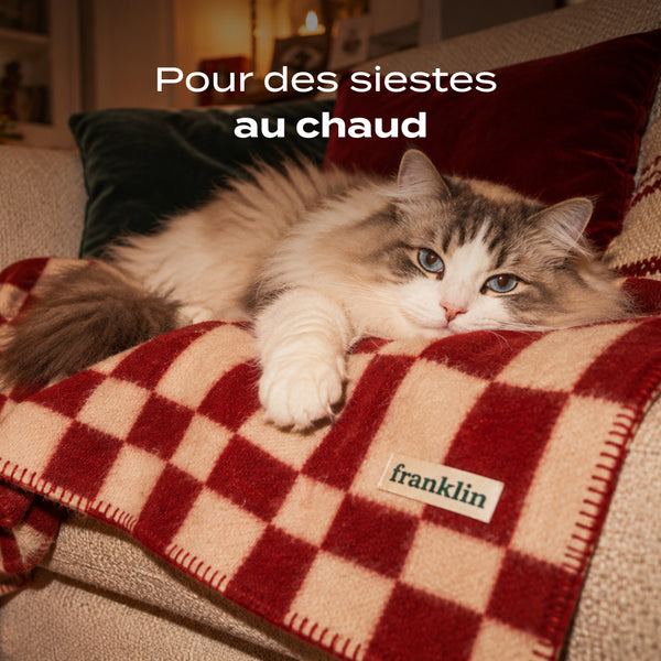 plaid-a-carreaux