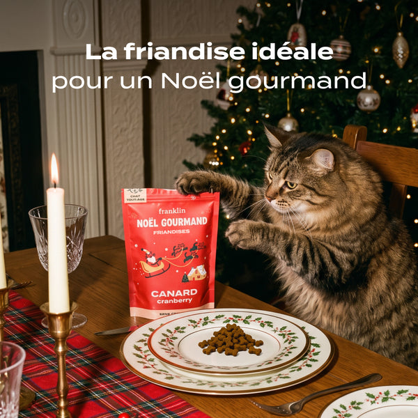 noel-gourmand-canard-cranberry