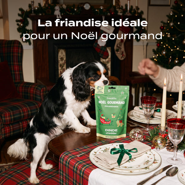 noel-gourmand-dinde-cheddar