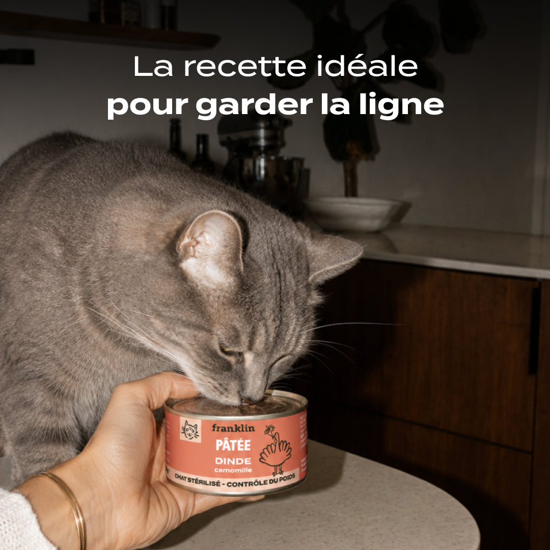 DINDE, CAMOMILLE