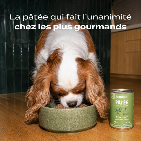 poulet-framboise-origan