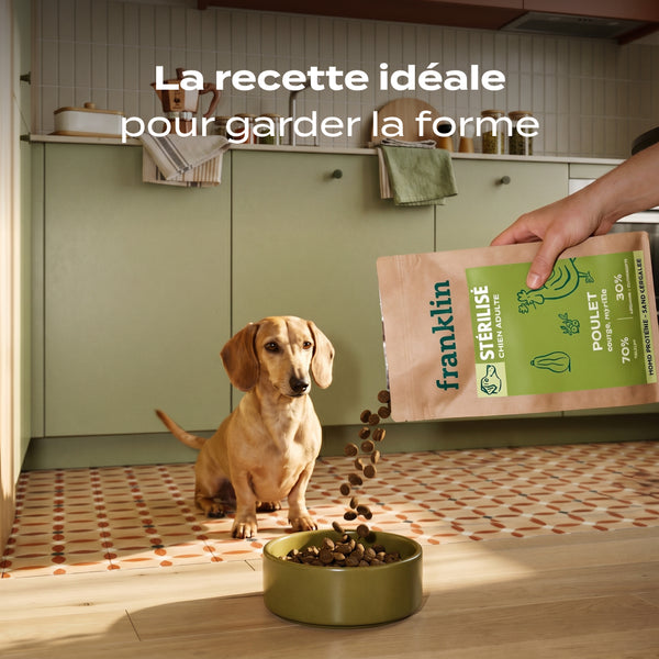 poulet-courge-myrtille