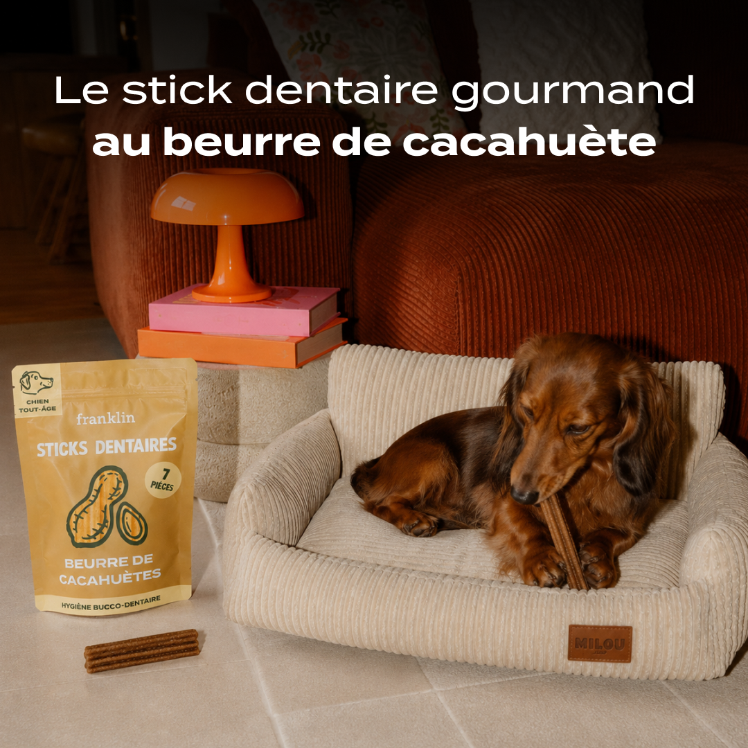 STICKS AU BEURRE DE CACAHUÈTES