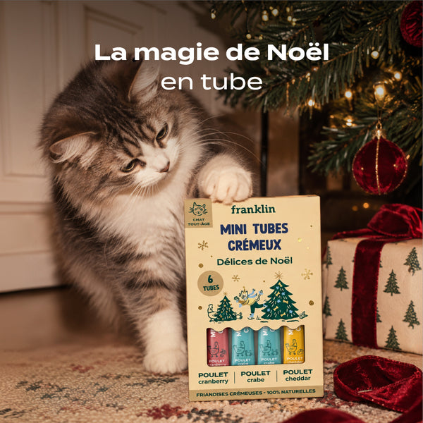 multipack-mini-tubes-delices-de-noel