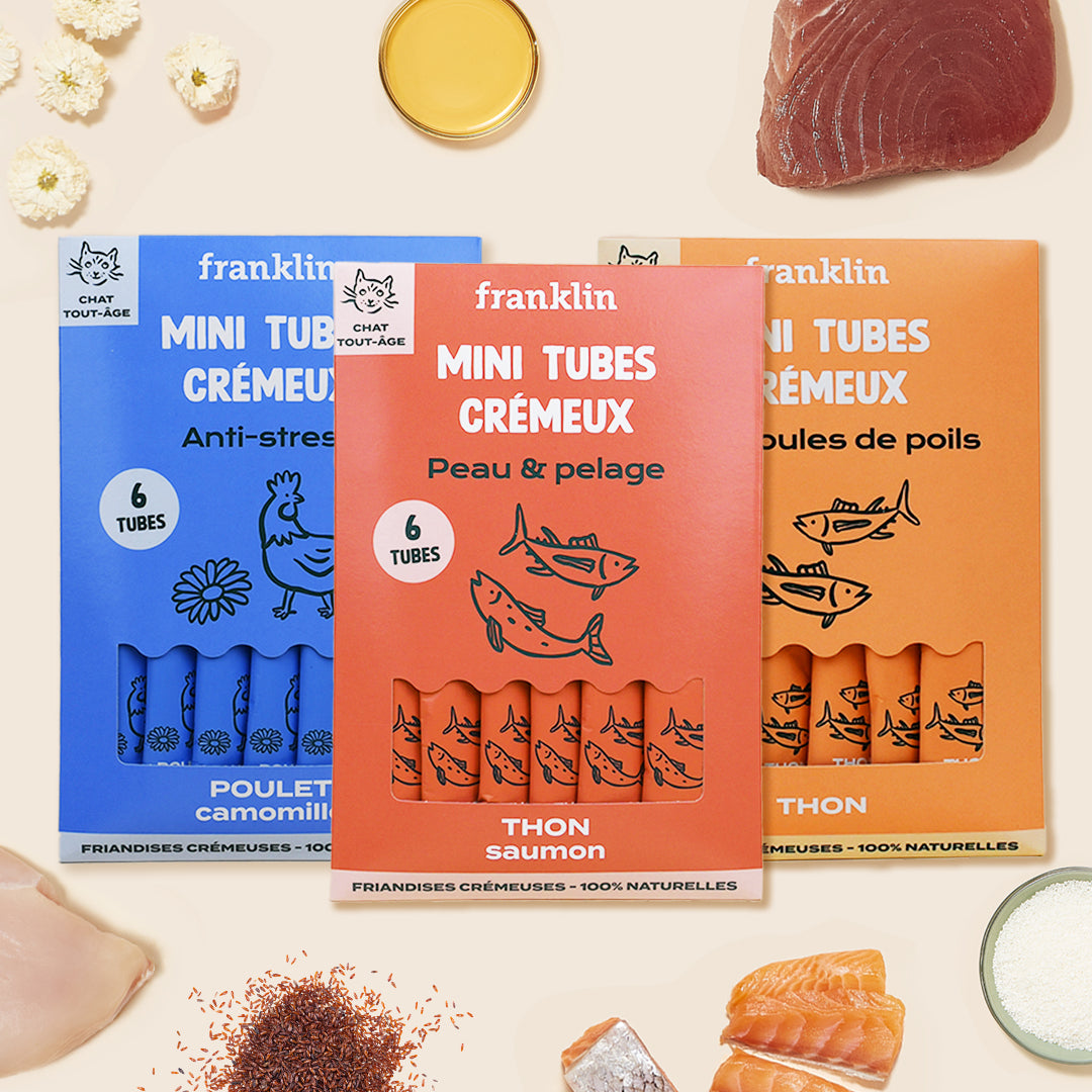 LOT CHAT MINI TUBES CRÉMEUX