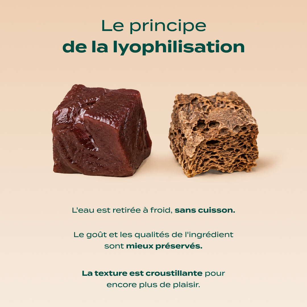 SNACK FOIE DE BŒUF