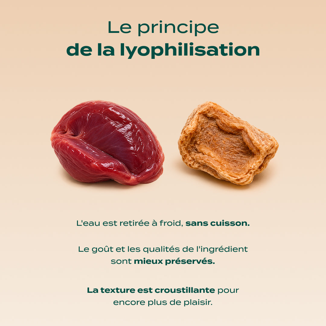 SNACK GÉSIER DE POULET