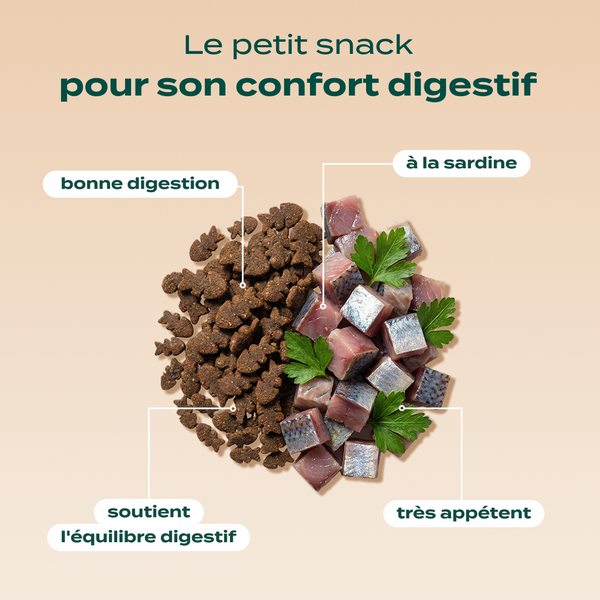 duo-mini-snack