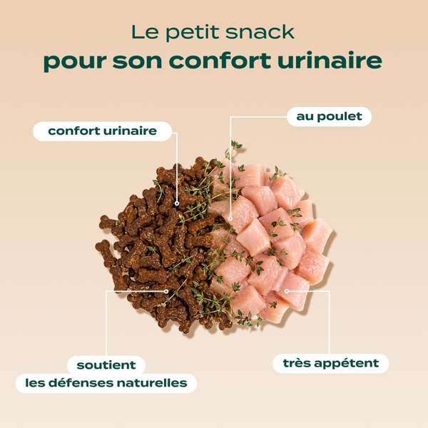 duo-mini-snack