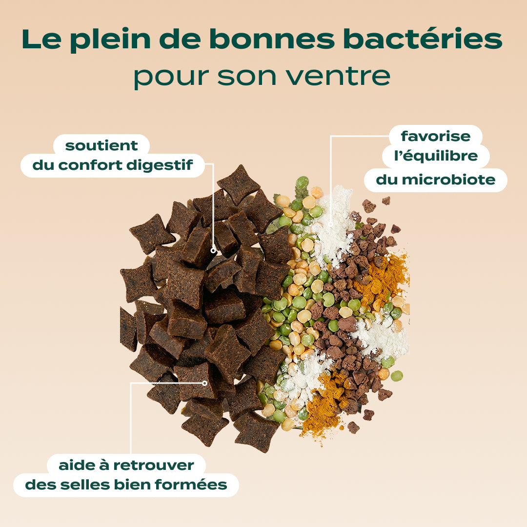 PACK DIGESTION CHIEN