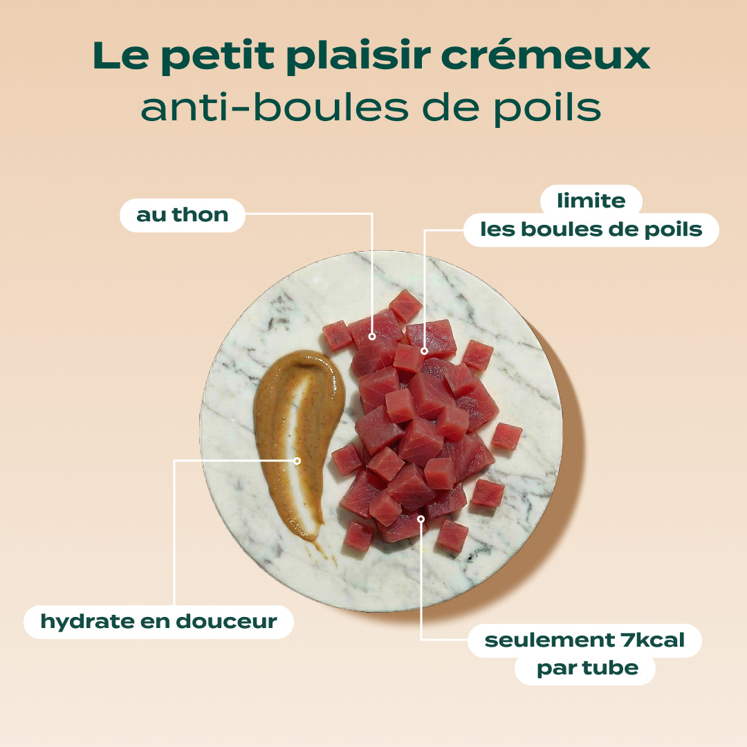 PACK ANTI-BOULES DE POILS CHAT