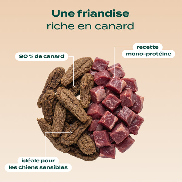 pack-anti-allergie-chien