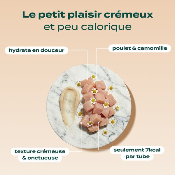 pack-surpoids-chat