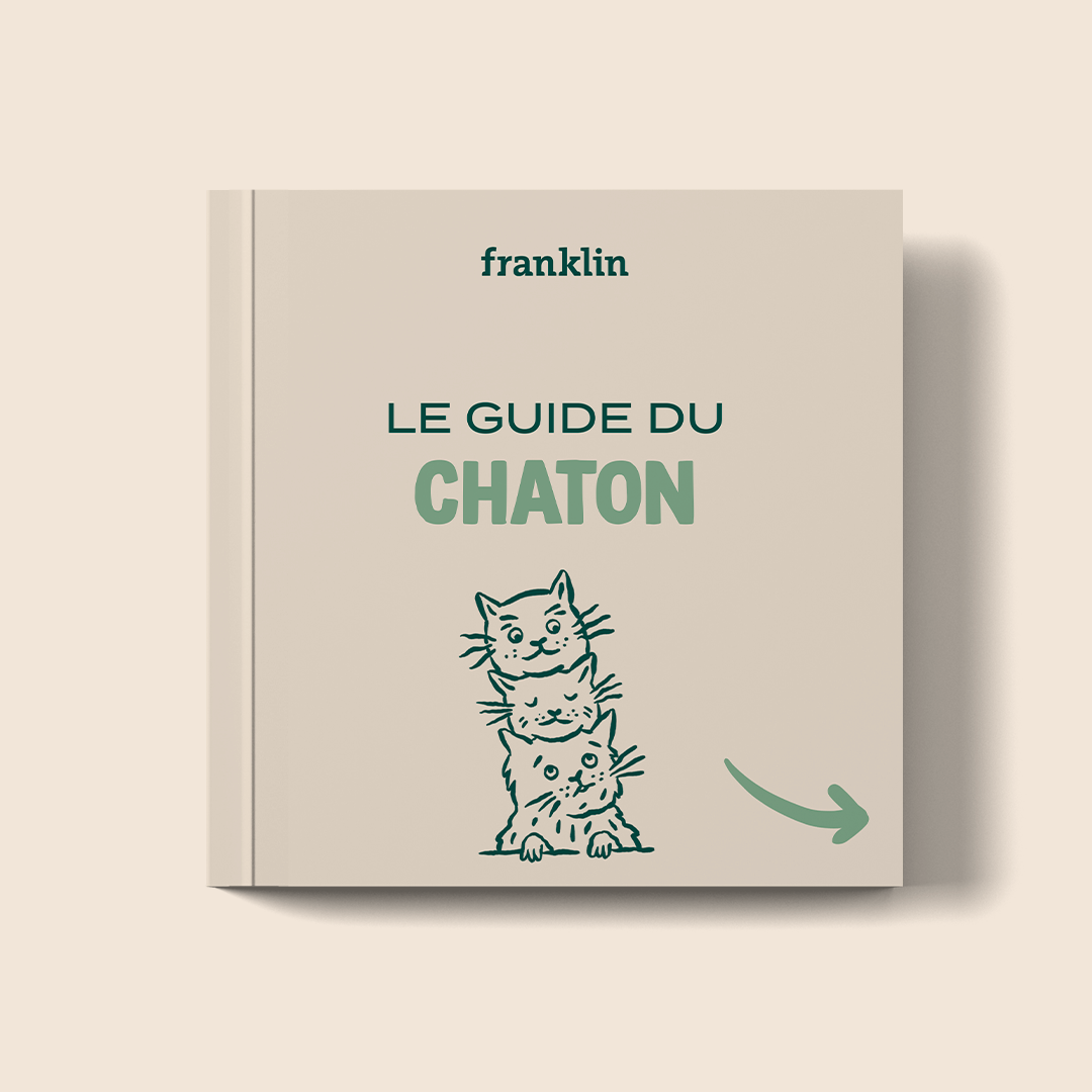 GUIDE CHATON