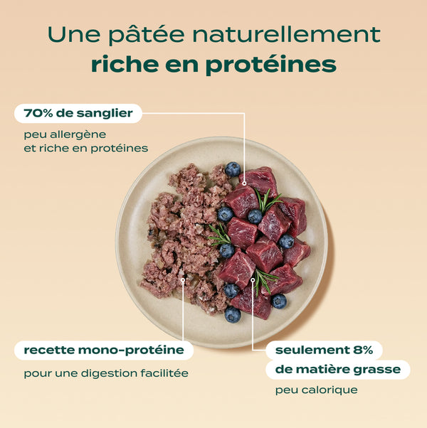 pack-decouverte-chien