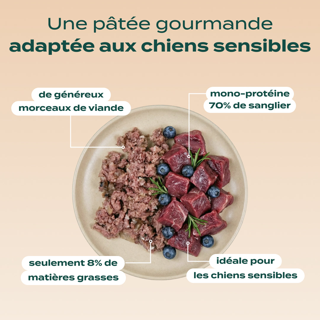 PACK DÉCOUVERTE CHIEN