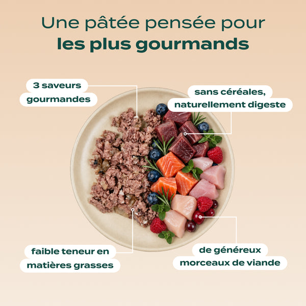 pack-decouverte-chien