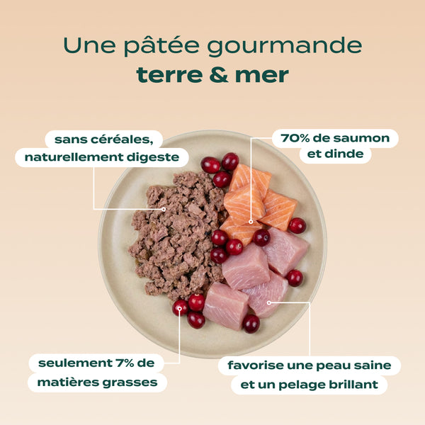 pack-decouverte-chien