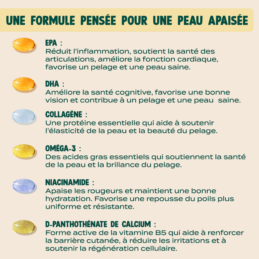GUMMIES DÉMANGEAISONS