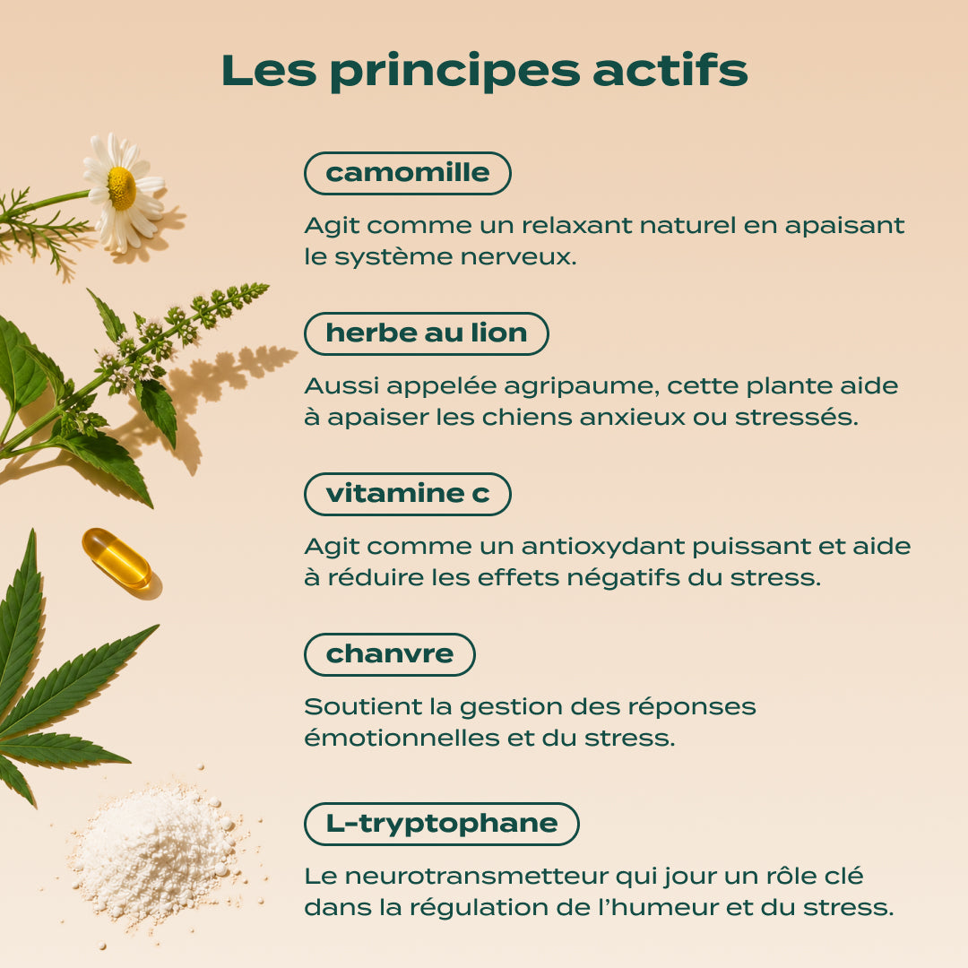 STICKS ANTI-STRESS