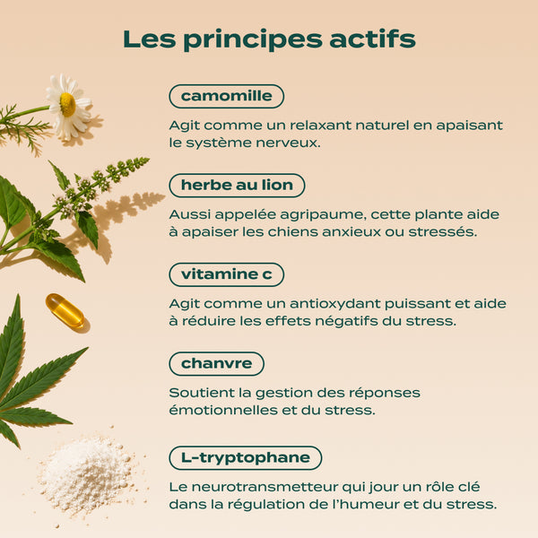 sticks-anti-stress