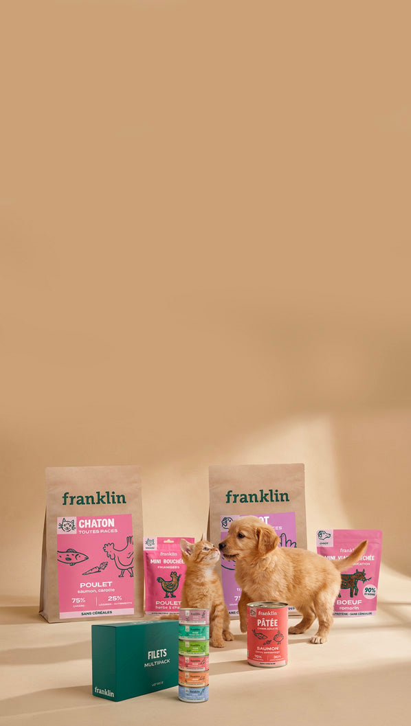 Franklin Alimentation premium pour chien et chat. Choisissez la meilleure nourriture pour votre animal : Croquettes sans céréales riches en protéines et faibles en glucides. Découvrez notre large gamme de pâtées et de friandises riches en viande !