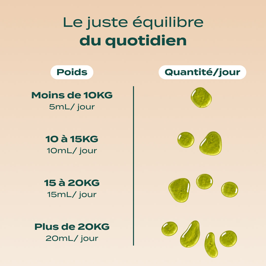 HUILE DE CHANVRE BIO