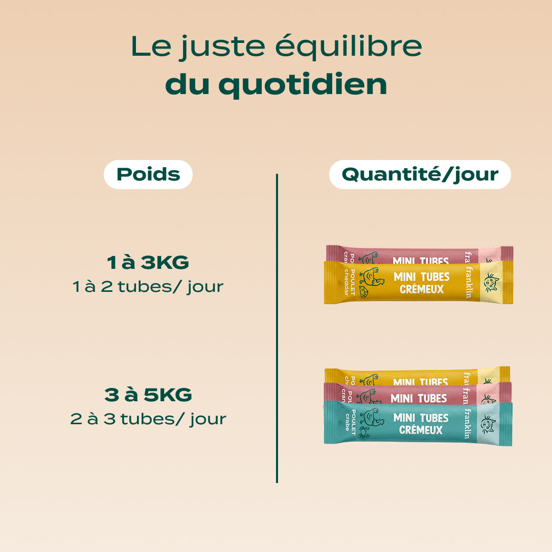 MULTIPACK MINI TUBES DÉLICES DE NOËL