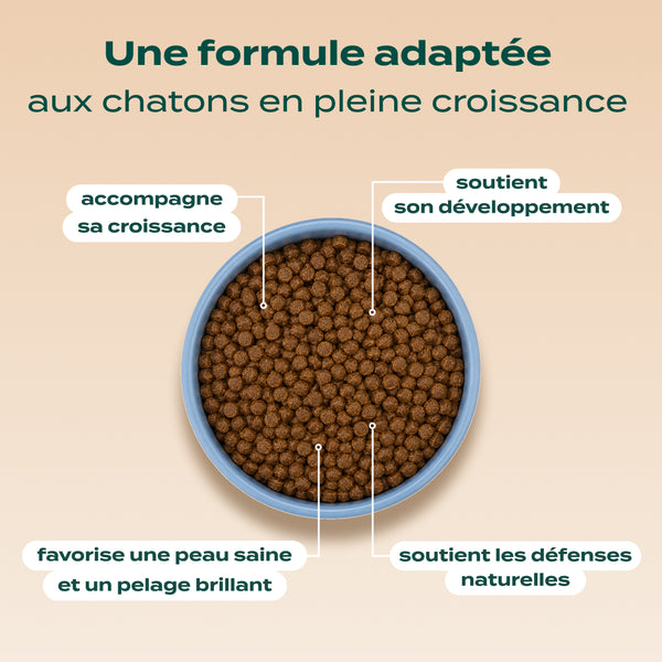 poulet-saumon-carotte