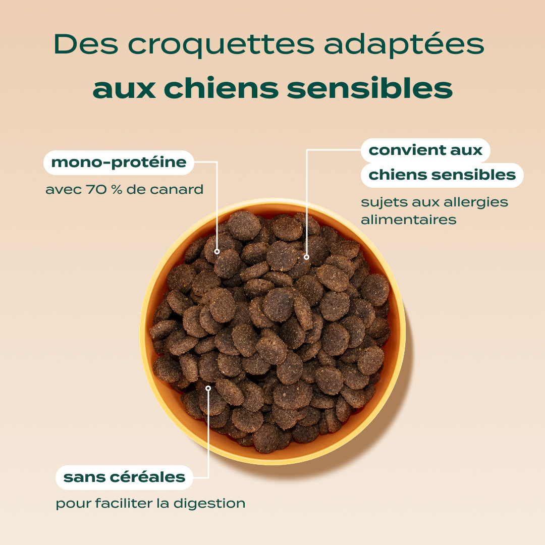 CANARD, POMME, CAROTTE