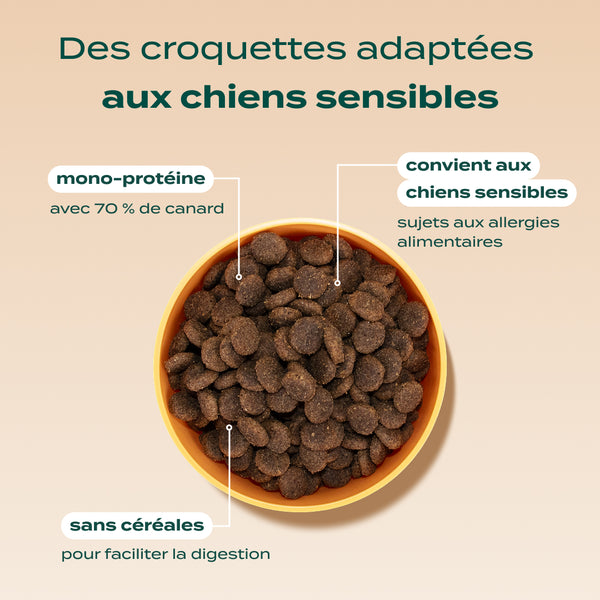 canard-pomme-carotte