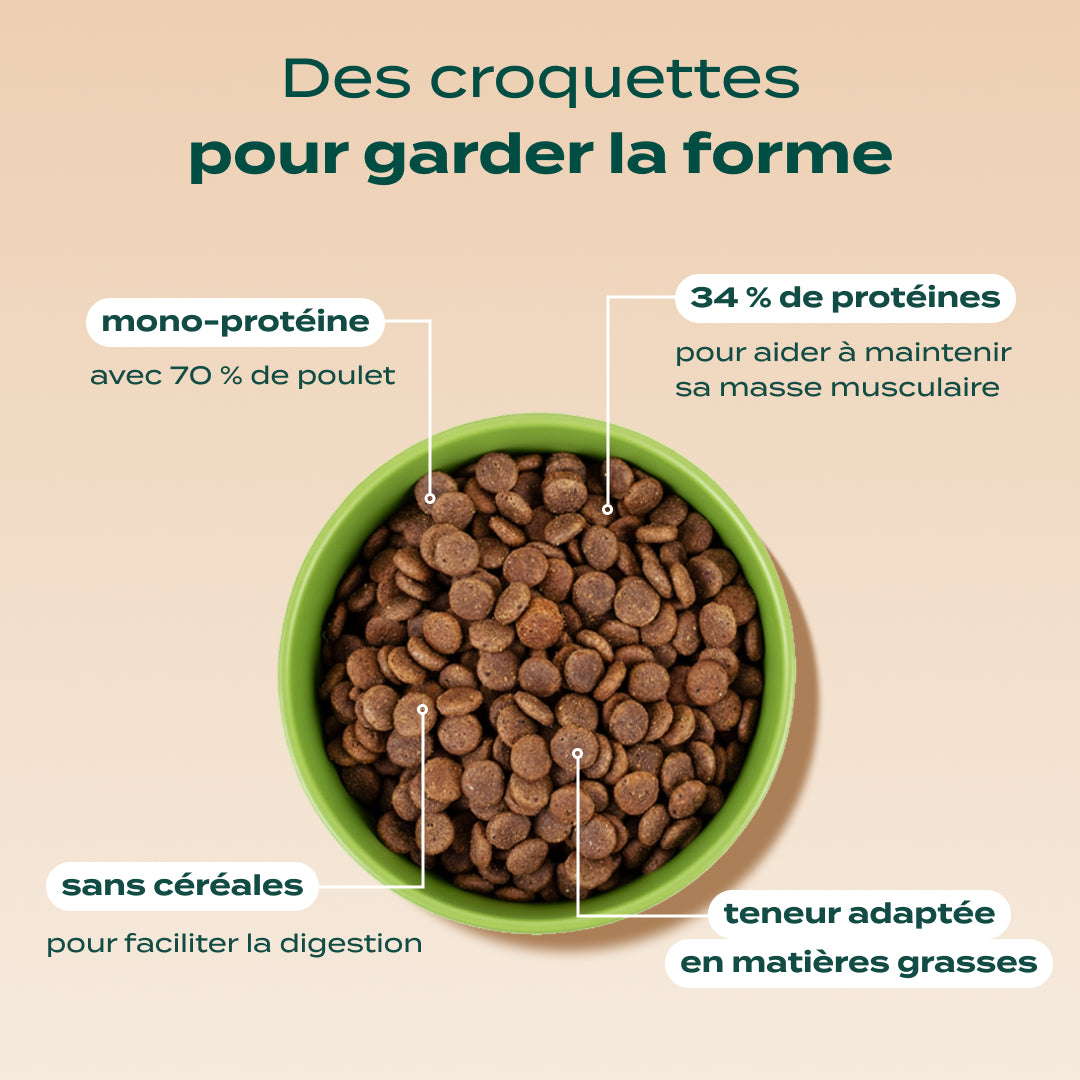POULET, COURGE, MYRTILLE