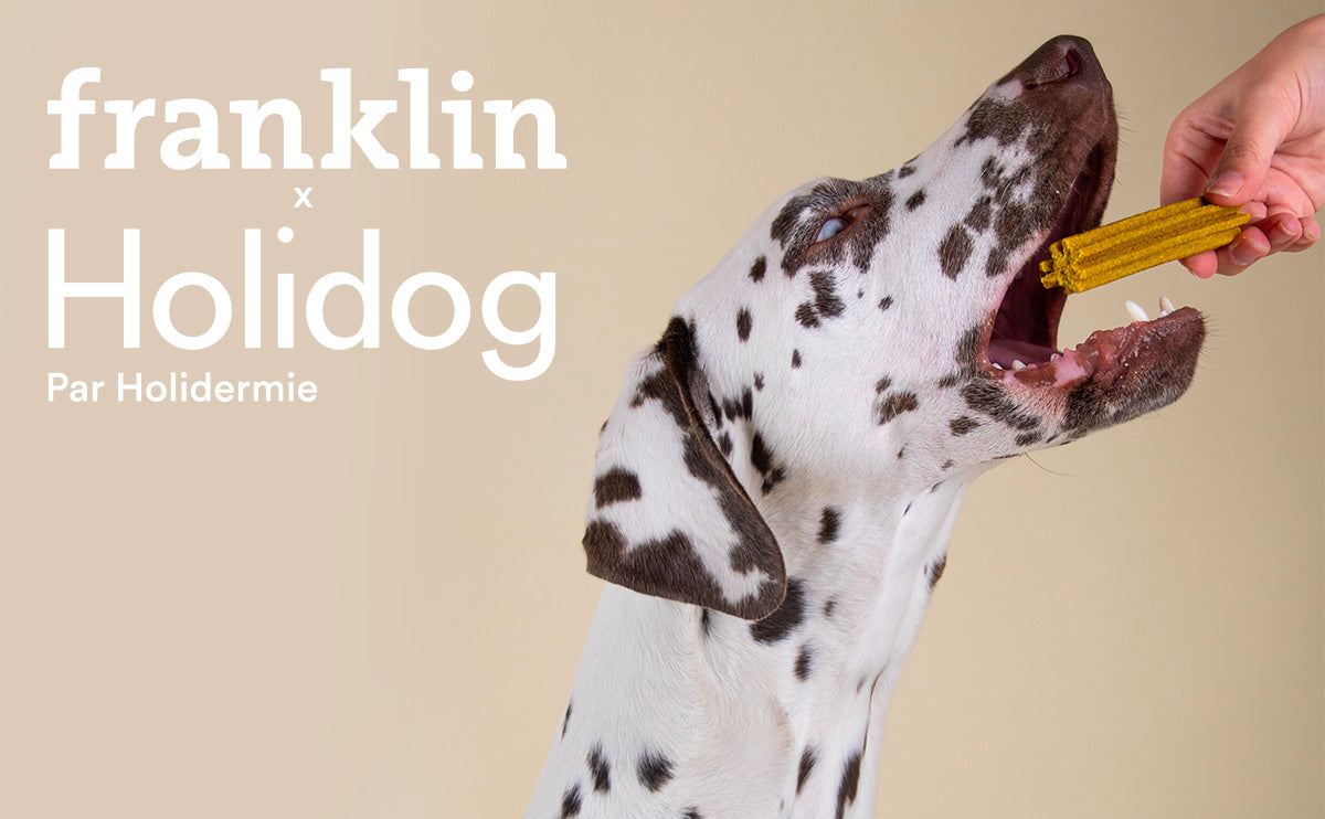 Franklin Alimentation premium pour chien et chat. Choisissez la meilleure nourriture pour votre animal : Croquettes sans céréales riches en protéines et faibles en glucides. Découvrez notre large gamme de pâtées et de friandises riches en viande !